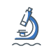 Etudes et Programmes de recherche
