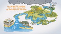 Apreçu vidéo : Redonnons libre-cours à nos rivières