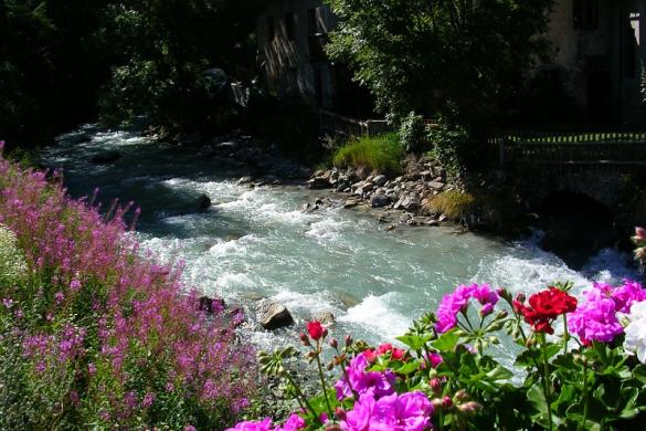Torrent alpin