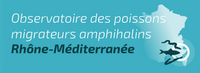 Observatoire des poissons migrateurs Vignette