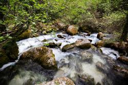 Sources de La Sorgue