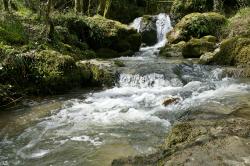 Petit affluent du ruisseau de Rabané sur le site du "Ravin du Puits d’Enfer"