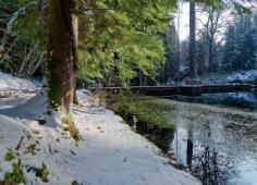Etang ambiance hivernale