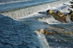 Cours d'eau Ain (l’), Ain 01