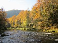 Brive d'aval, la Bienne, Lavans-les-Saint-Claude, Jura, Franche-Comté